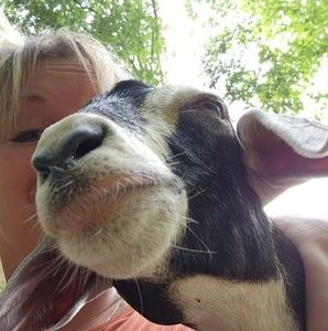 Meet your Posher, Cyndi